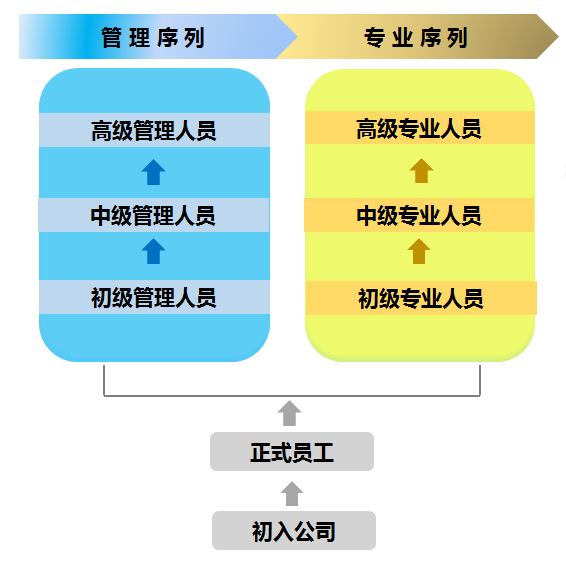 it技術人員_it人員的職業規劃_it人員